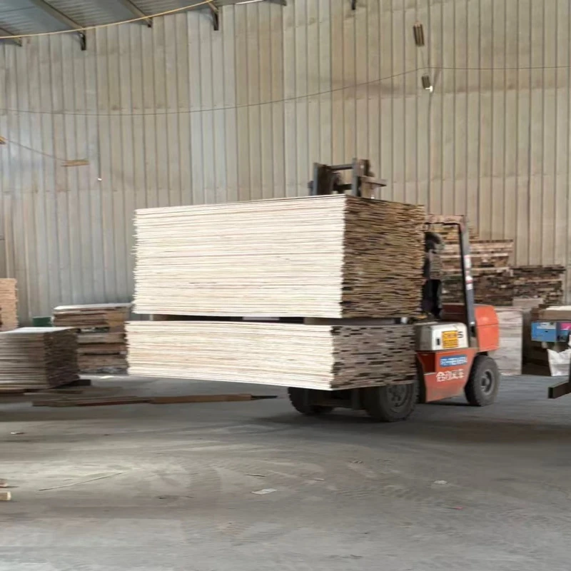 product-800-800 product-800-800